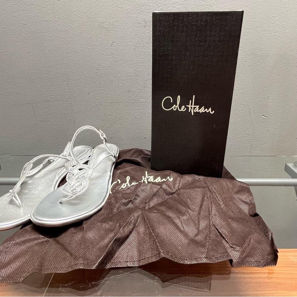 Cole Haan Silver Sandals